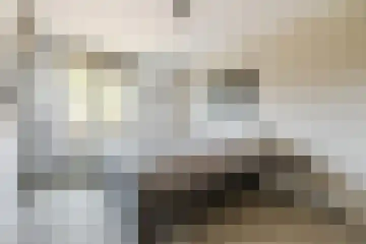Walstro 15 Cuijk thumbnail 17