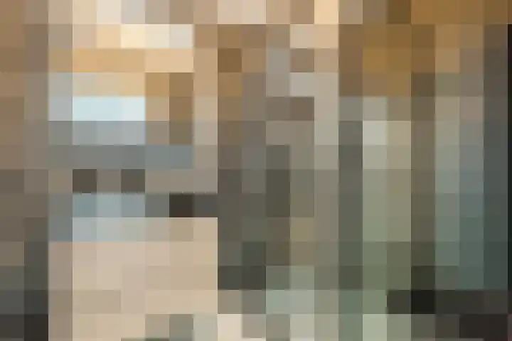 Walstro 15 Cuijk thumbnail 18