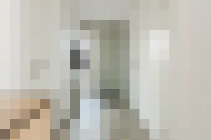 Walstro 15 Cuijk thumbnail 8