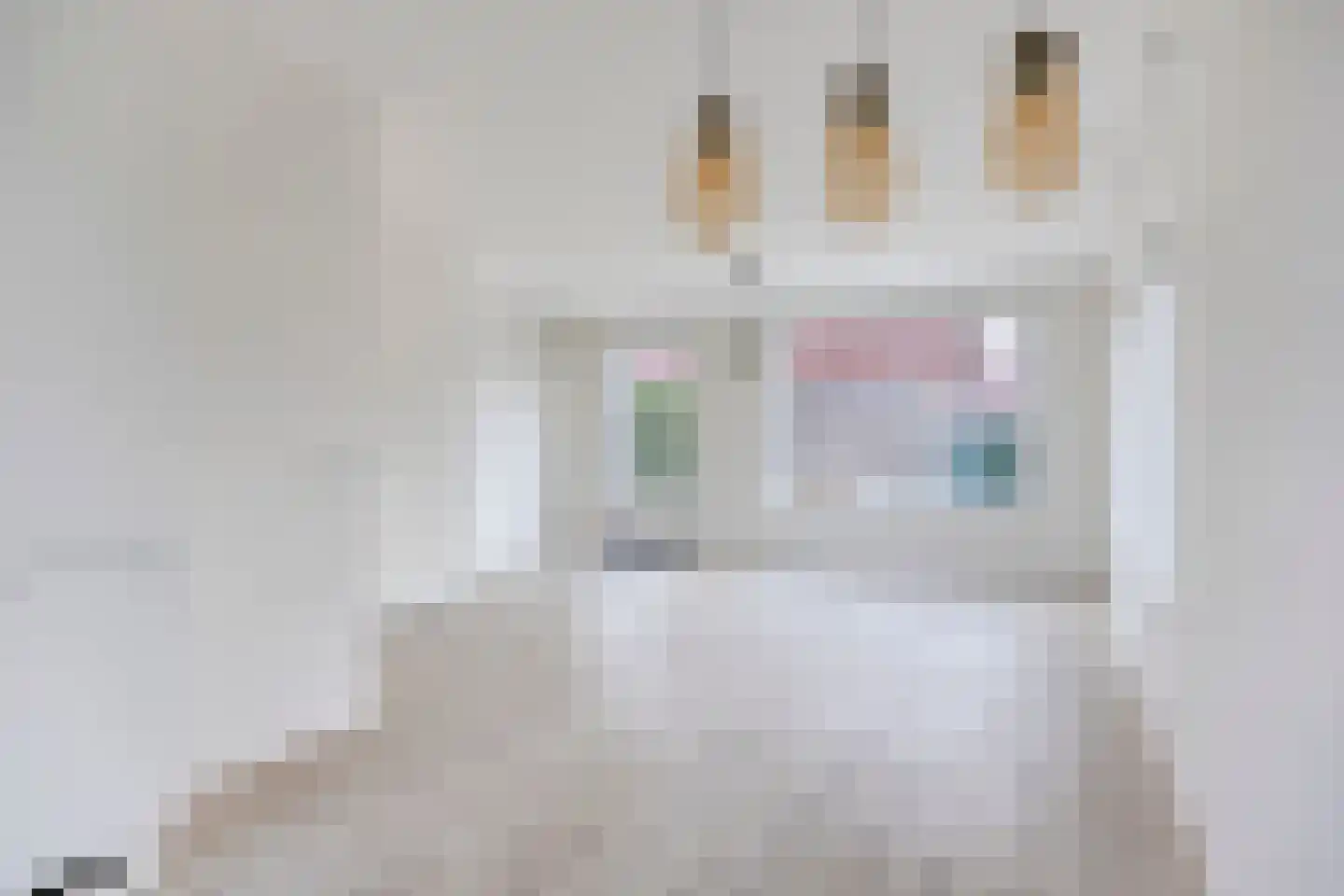 Walstro 18 Sittard thumbnail 14