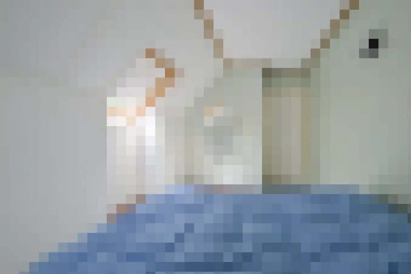 Walstro 2 Abbekerk thumbnail 26