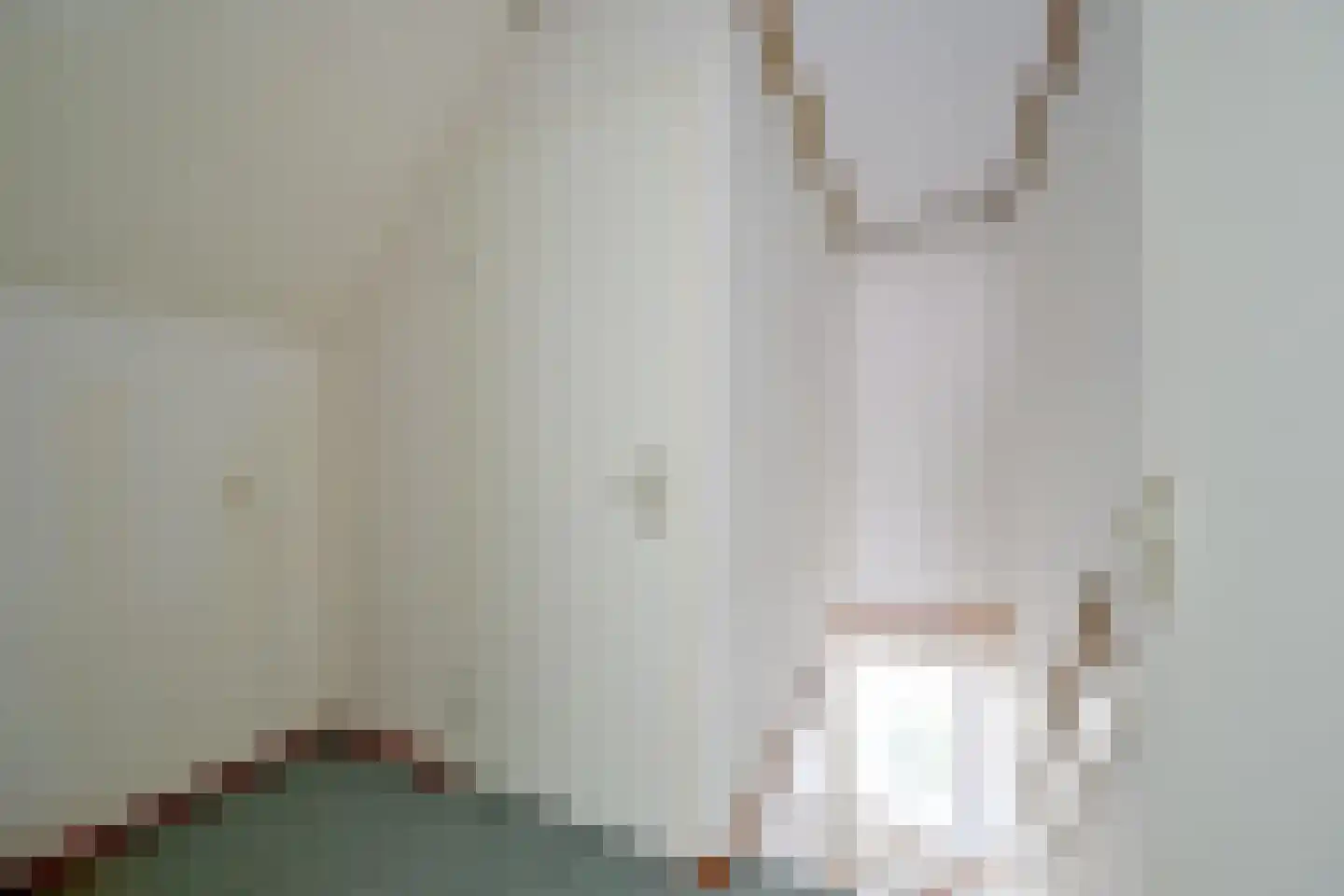 Walstro 2 Abbekerk thumbnail 31