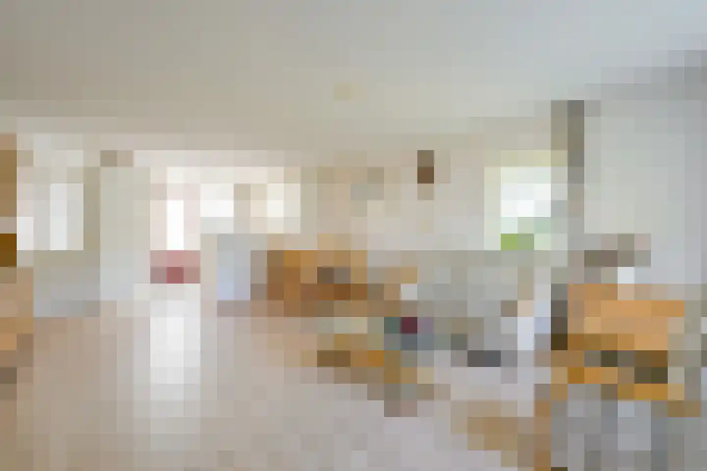 Walstro 2 Abbekerk thumbnail 4