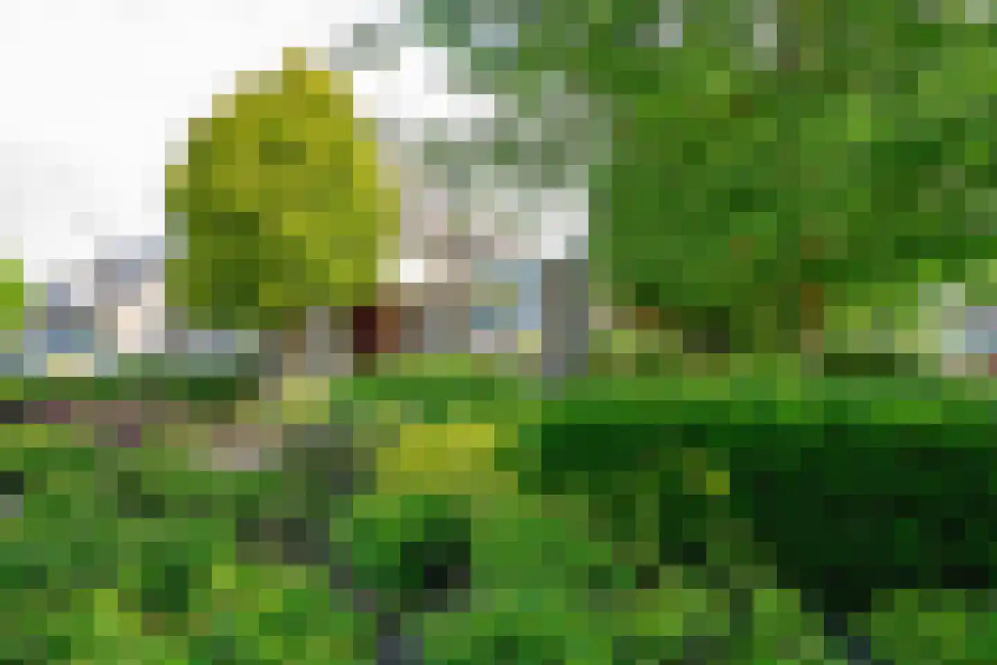 Walstro 2 Abbekerk thumbnail 43