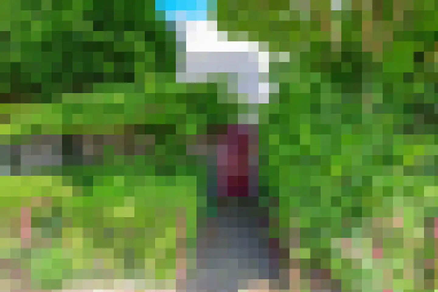 Walstro 2 Abbekerk thumbnail 44