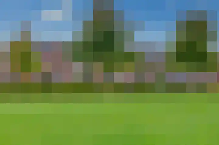 Walstro 20 in Beilen