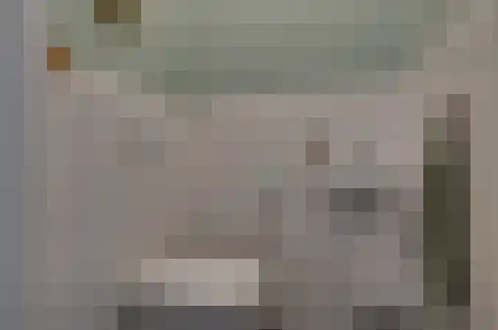 Walstro 20 Beilen thumbnail 11