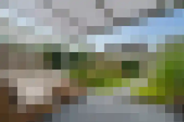 Walstro 20 Beilen thumbnail 20