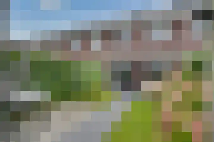 Walstro 20 Beilen thumbnail 23