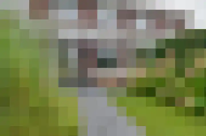 Walstro 20 Beilen thumbnail 24