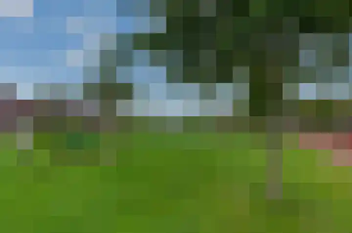 Walstro 20 Beilen thumbnail 25