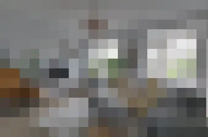 Walstro 20 Beilen thumbnail 4