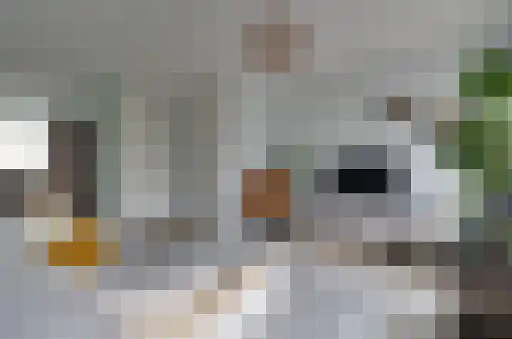 Walstro 20 Beilen thumbnail 5