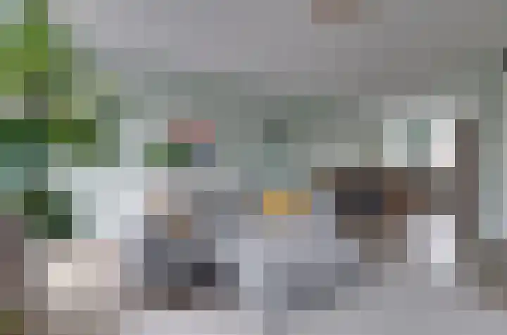 Walstro 20 Beilen thumbnail 6