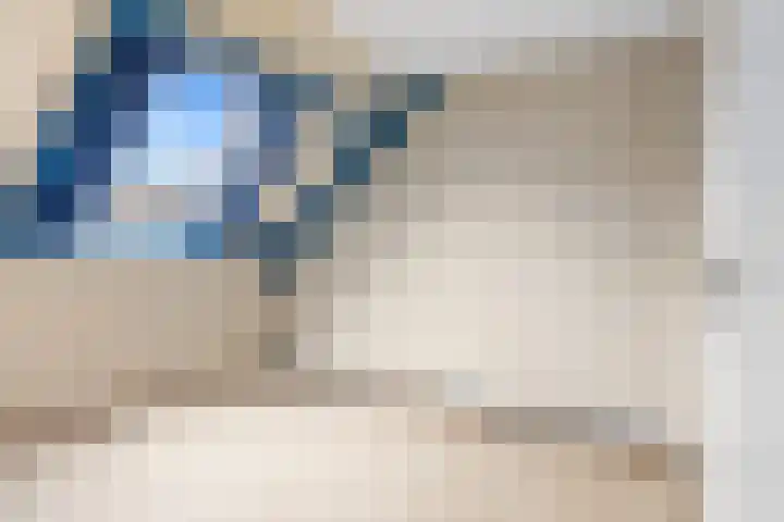 Walstro 20 Sneek thumbnail 21