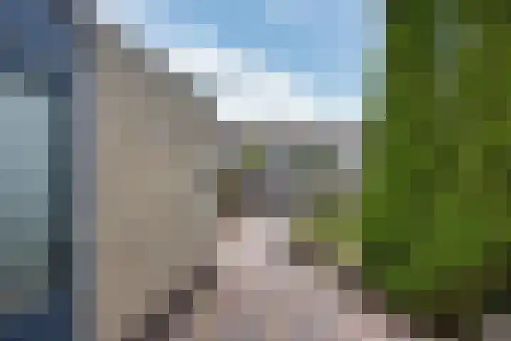 Walstro 20 Sneek thumbnail 26