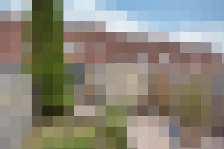Walstro 20 Sneek thumbnail 27