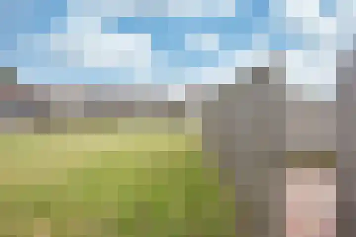 Walstro 20 Sneek thumbnail 28