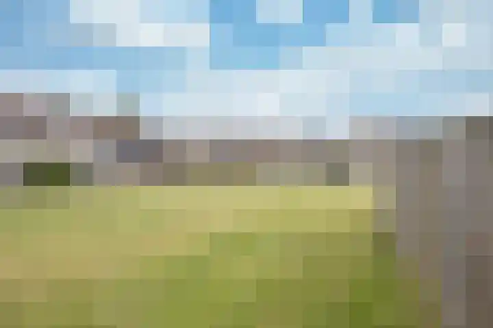 Walstro 20 Sneek thumbnail 29