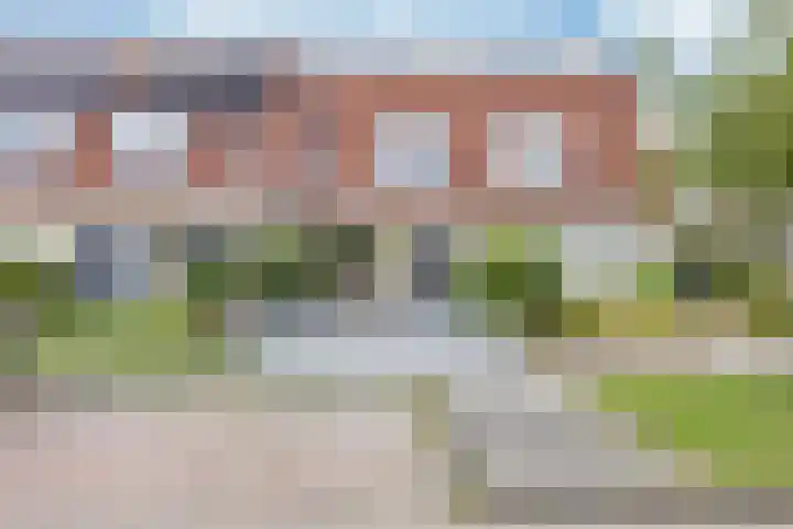 Walstro 20 Sneek thumbnail 30