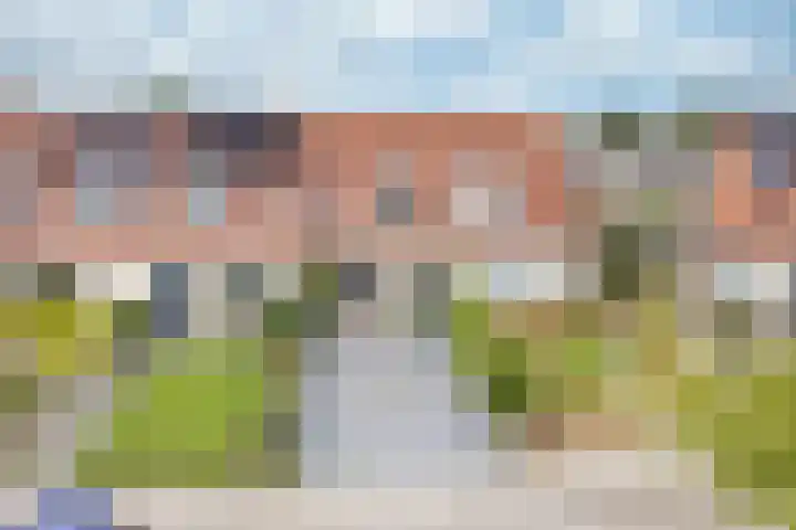 Walstro 20 Sneek thumbnail 31