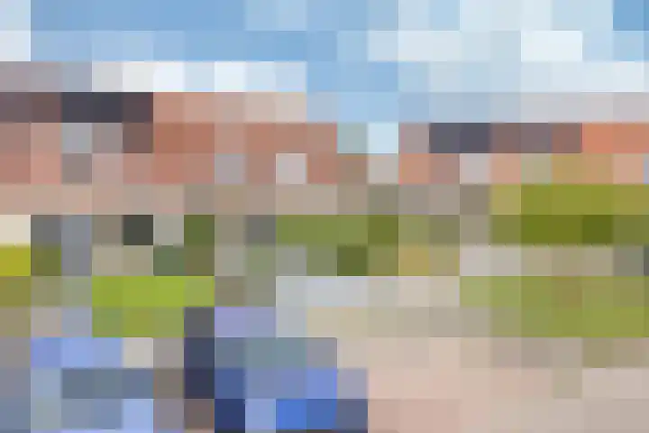 Walstro 20 Sneek thumbnail 32