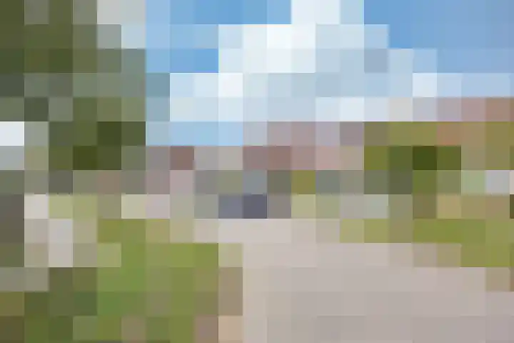 Walstro 20 Sneek thumbnail 33