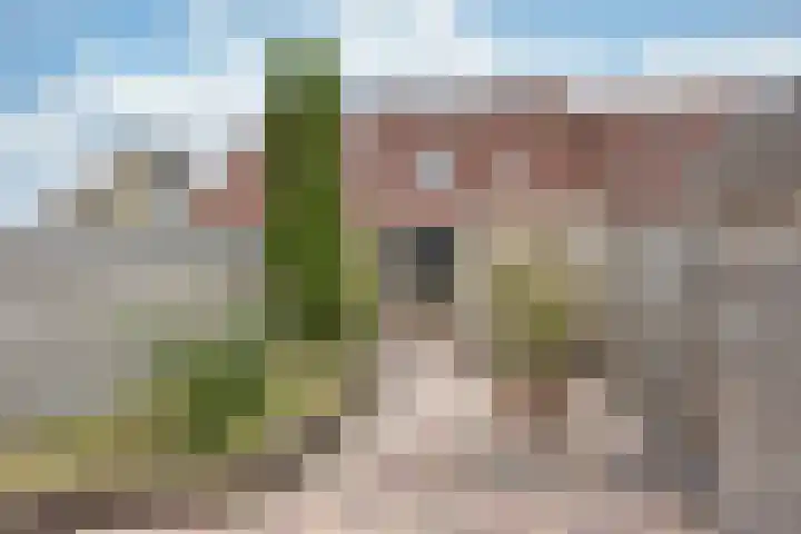 Walstro 20 Sneek thumbnail 4