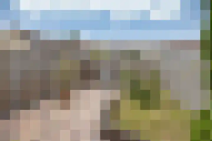 Walstro 20 Sneek thumbnail 5
