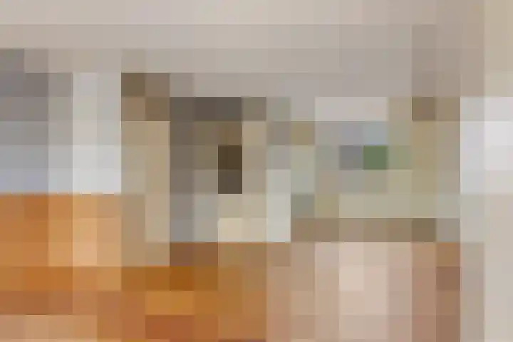 Walstro 20 Sneek thumbnail 8