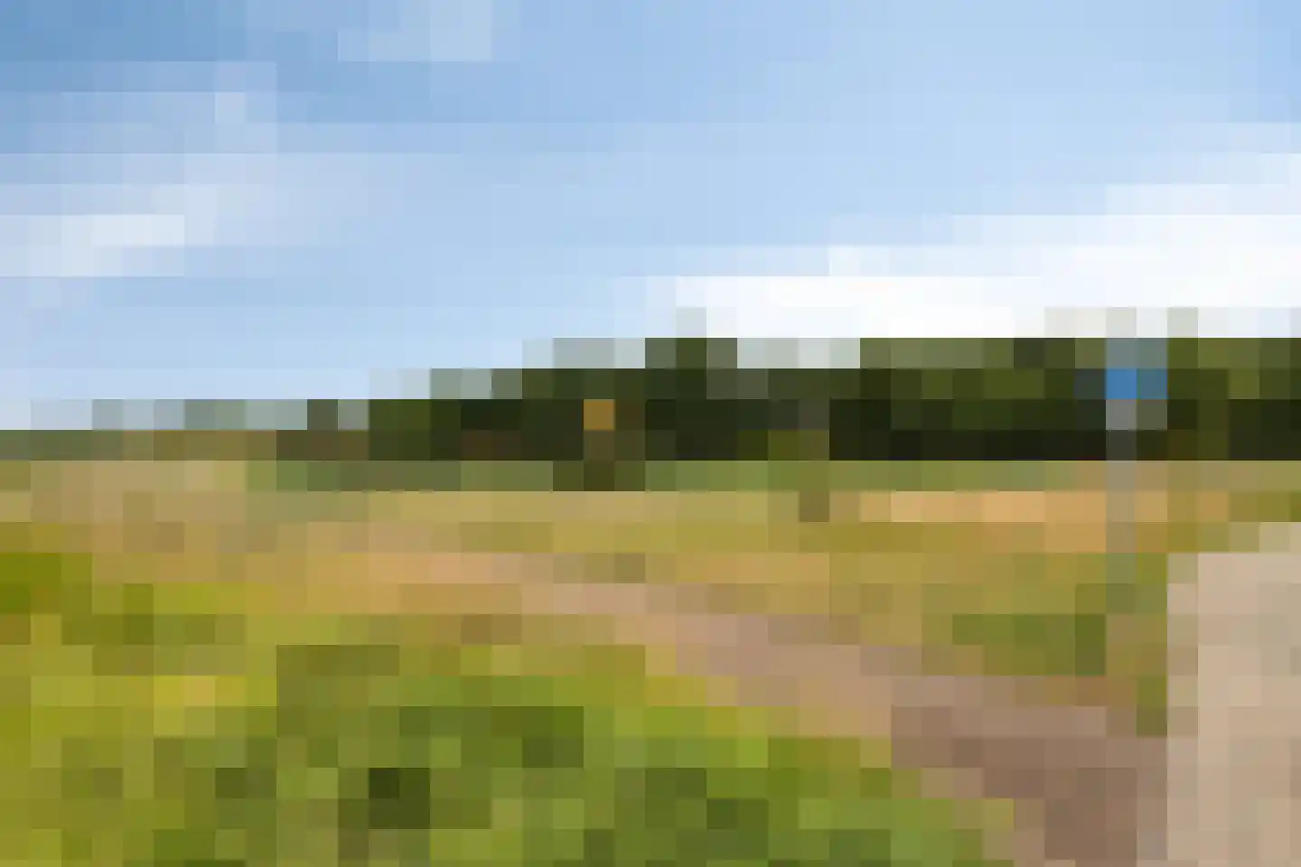 Walstro 24 Cuijk thumbnail 43