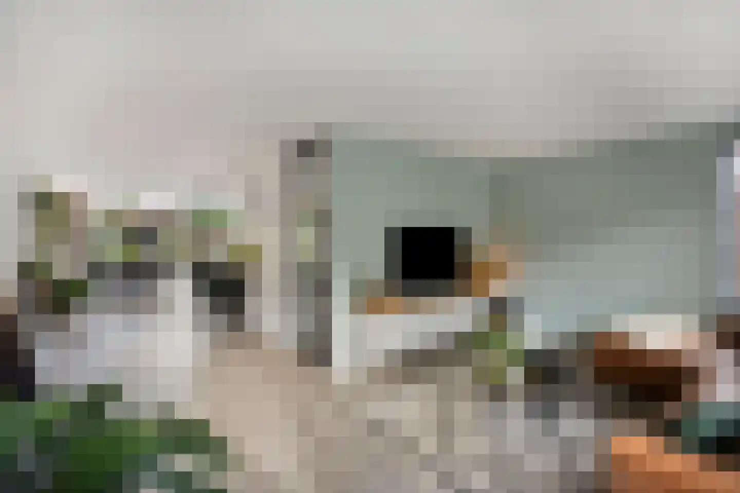 Walstro 3 Best thumbnail 15