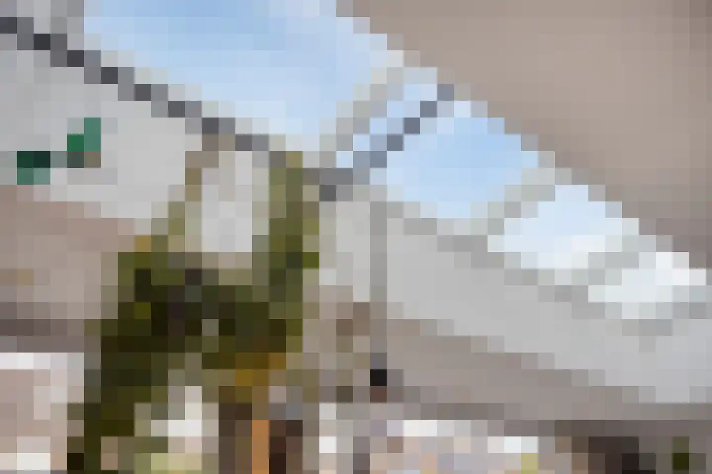 Walstro 3 Best thumbnail 18