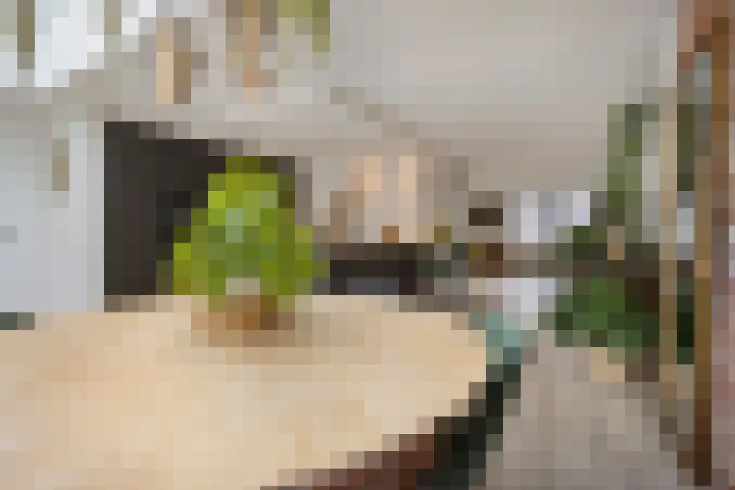 Walstro 3 Best thumbnail 28