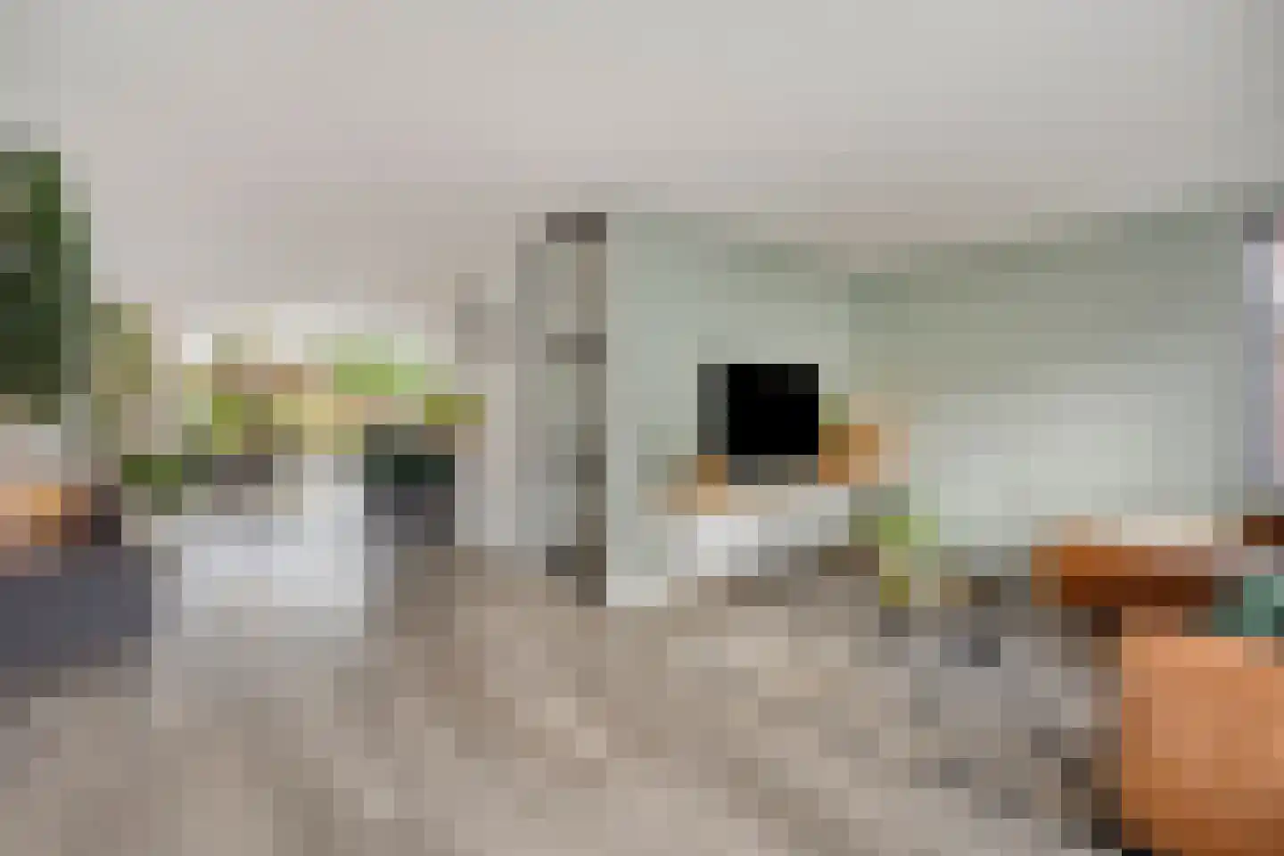 Walstro 3 Best thumbnail 34