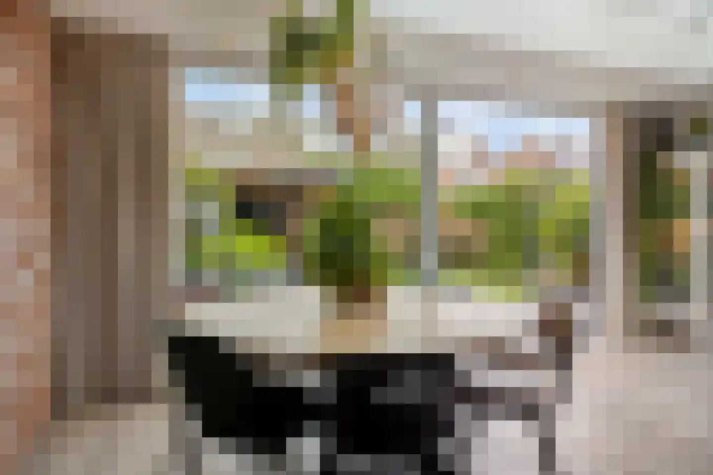 Walstro 3 Best thumbnail 35