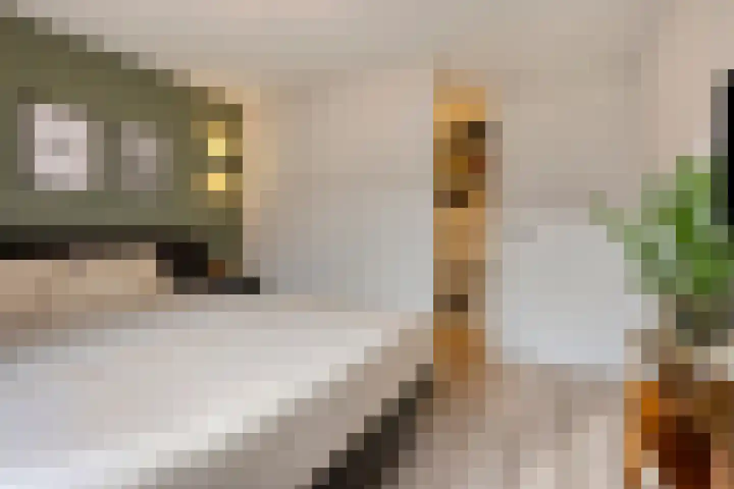 Walstro 3 Best thumbnail 40