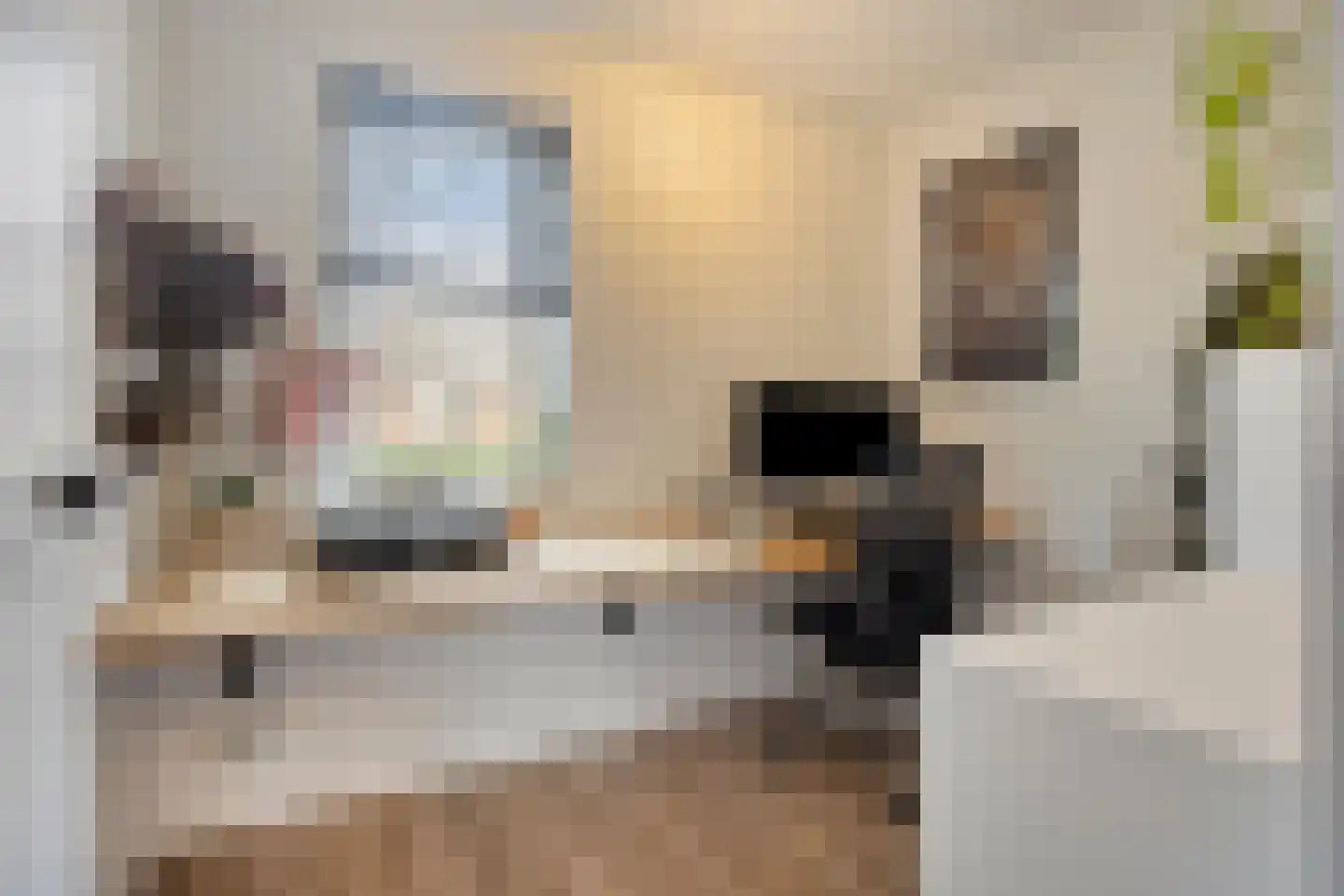 Walstro 3 Best thumbnail 43