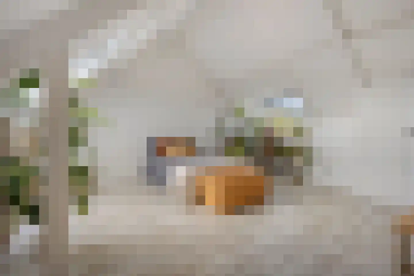 Walstro 3 Best thumbnail 52