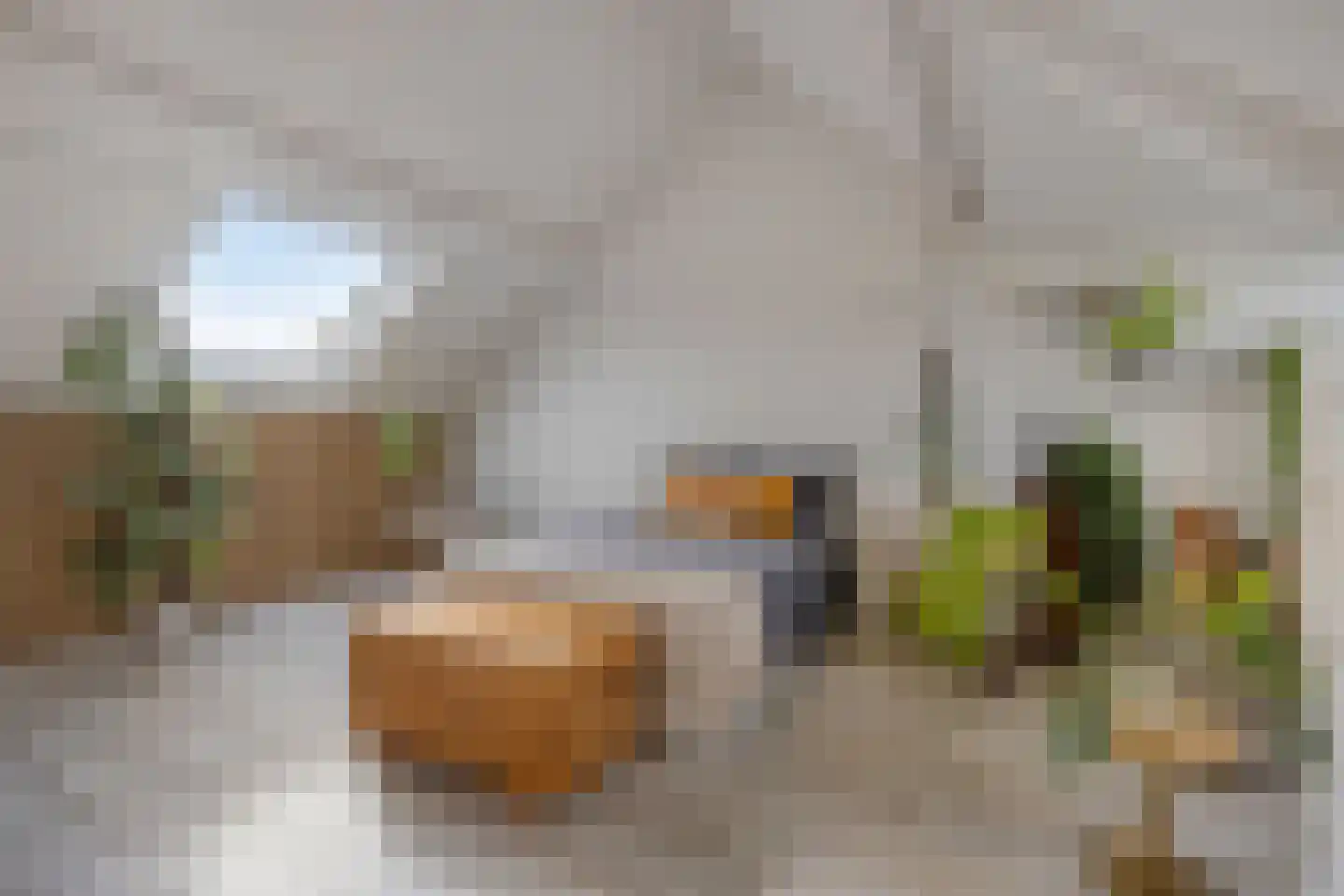 Walstro 3 Best thumbnail 54