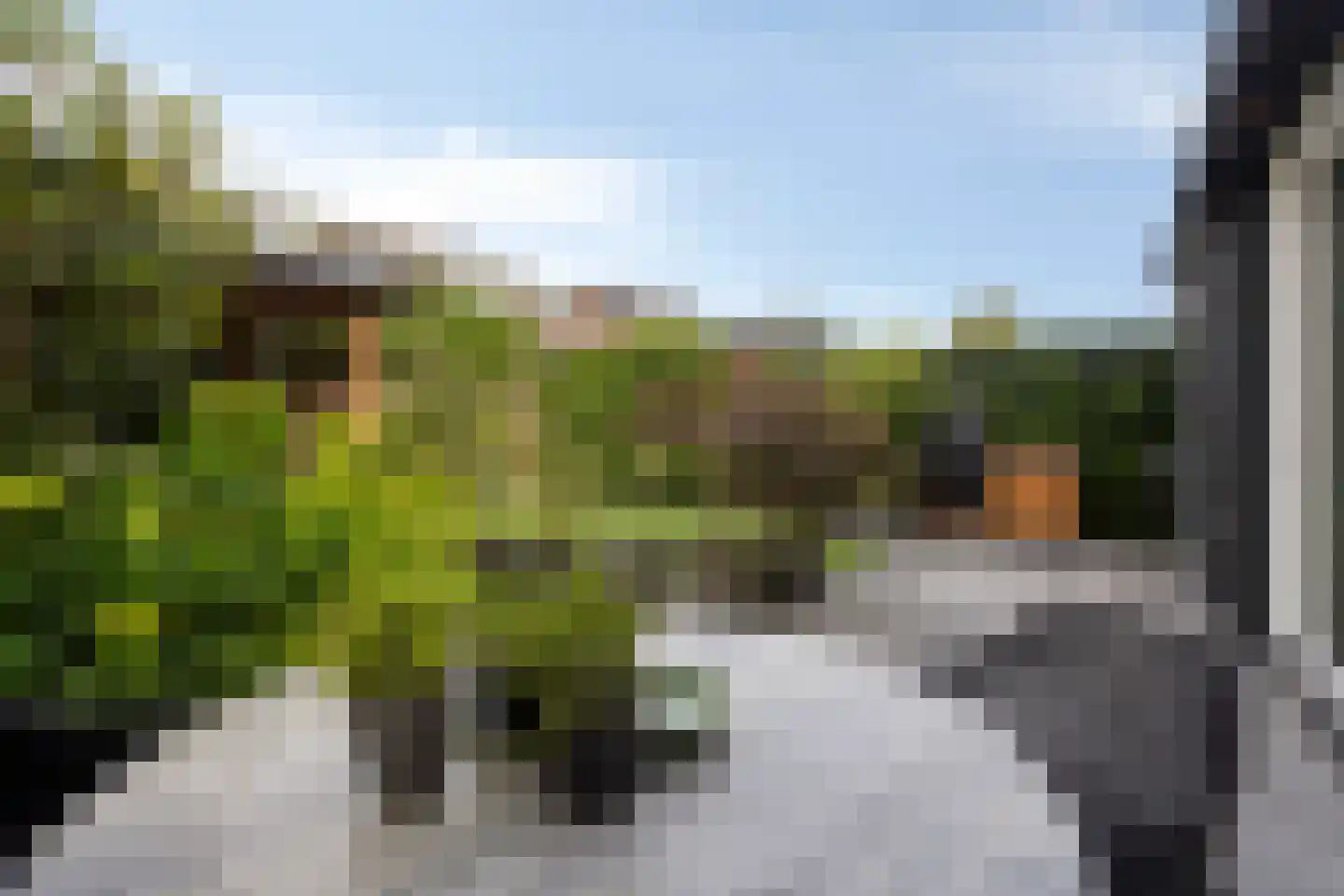 Walstro 3 Best thumbnail 56
