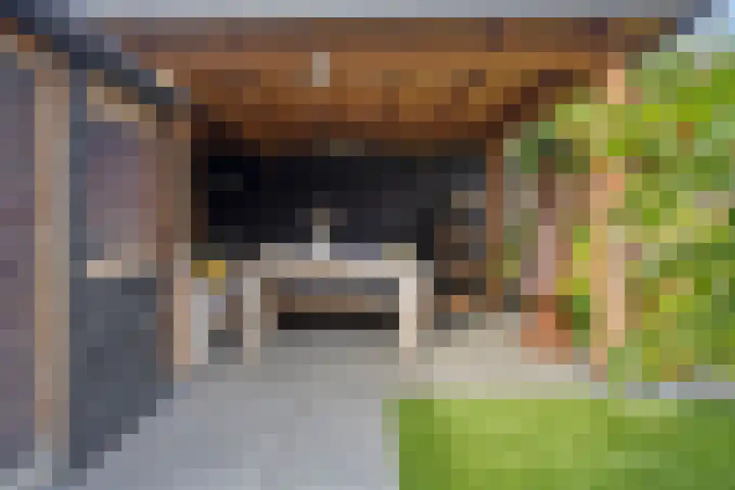 Walstro 3 Best thumbnail 62