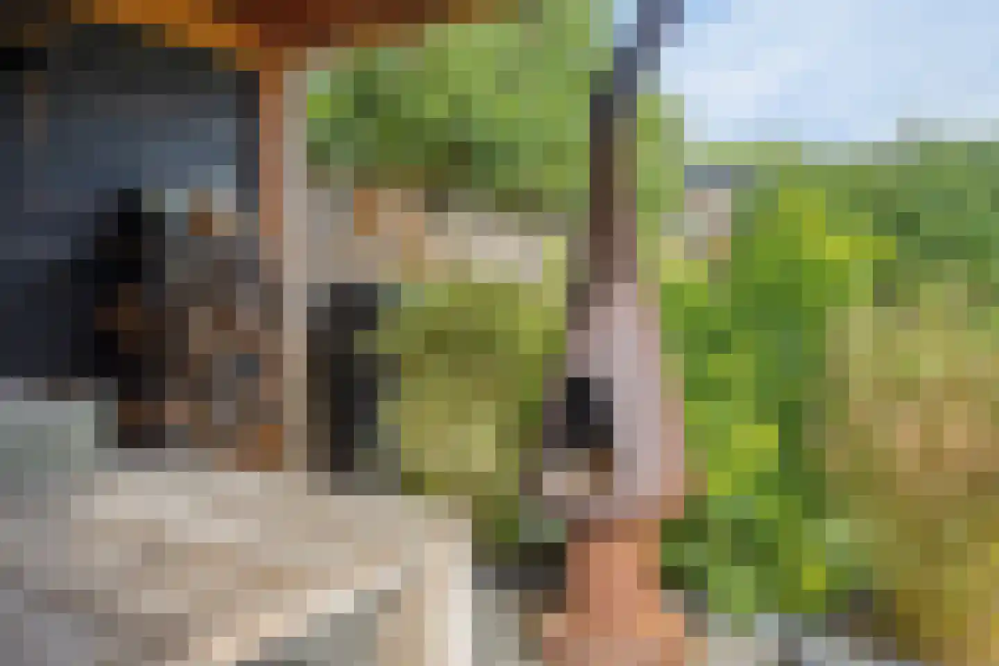 Walstro 3 Best thumbnail 63