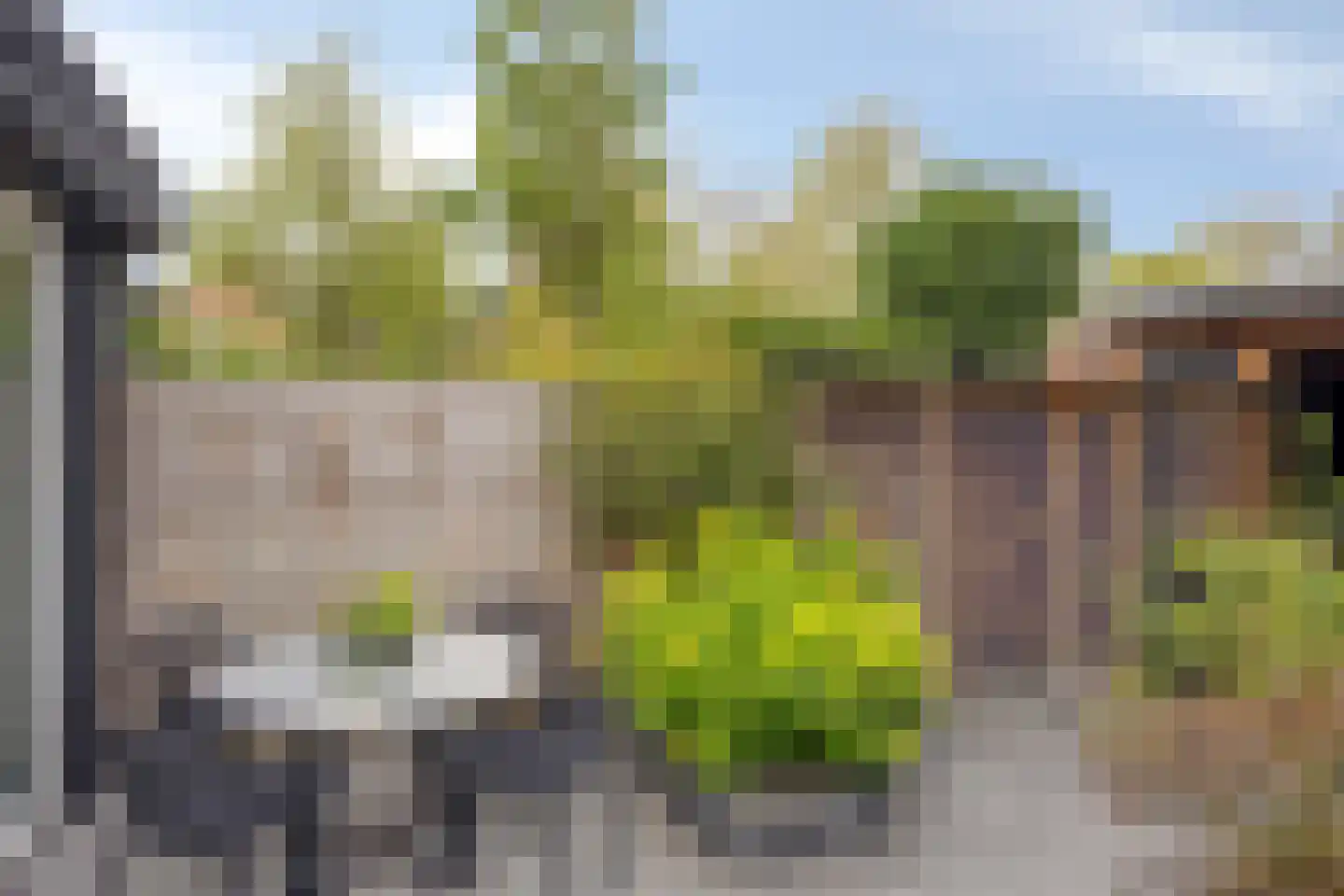 Walstro 3 Best thumbnail 65
