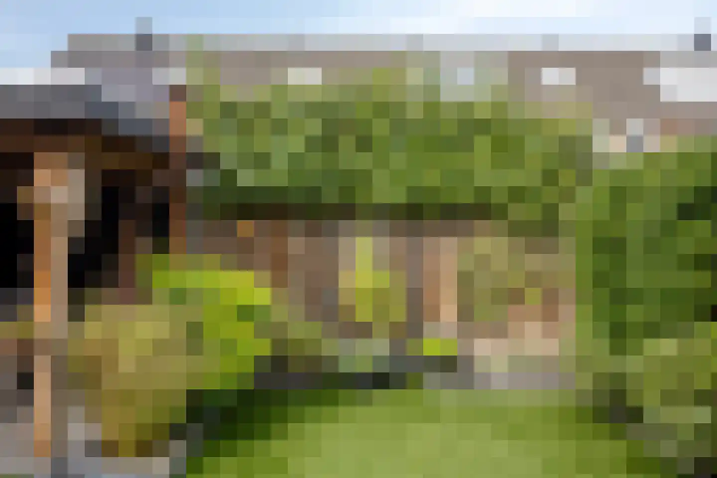 Walstro 3 Best thumbnail 66