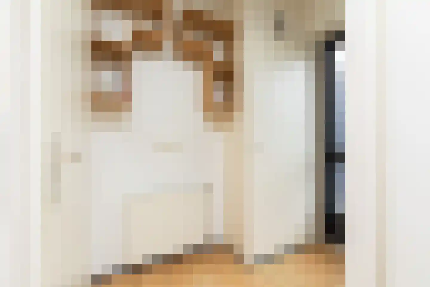 Walstro 3 Sneek thumbnail 13