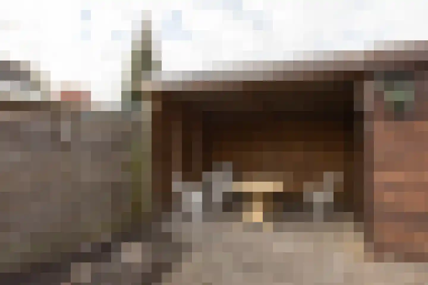 Walstro 3 Sneek thumbnail 28