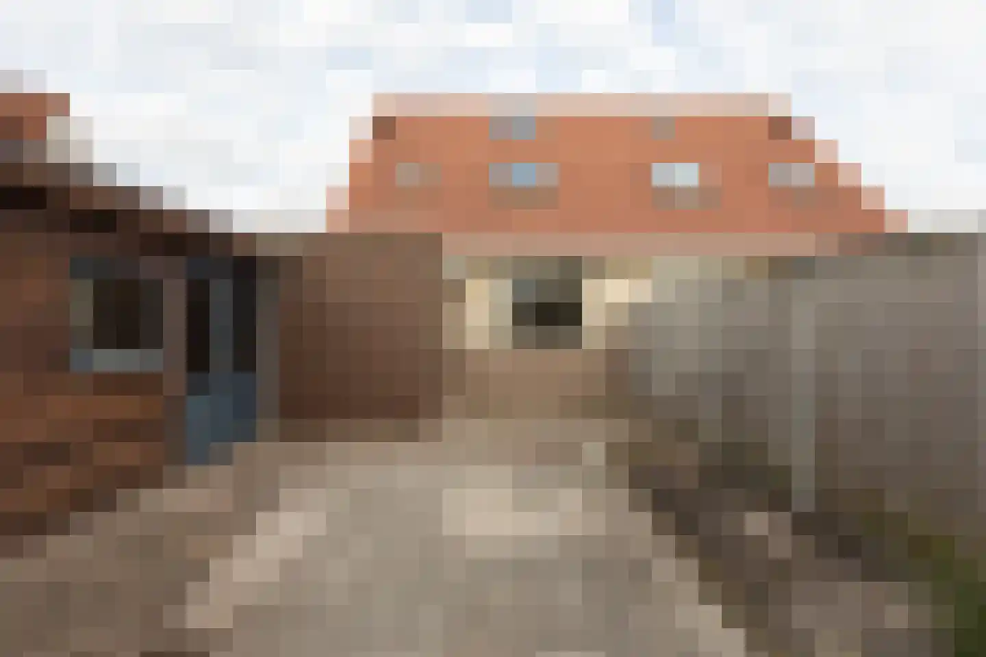 Walstro 3 Sneek foto 3