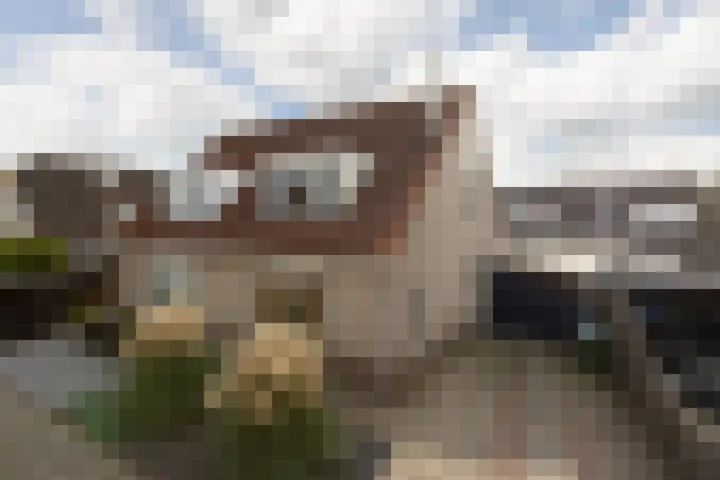 Walstro 3 Sneek thumbnail 33