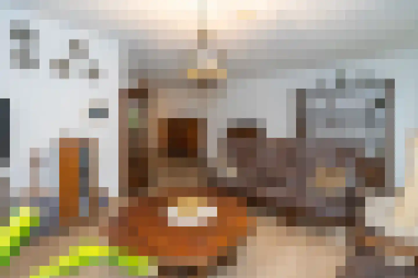 Walstro 3 Sprang-Capelle thumbnail 18